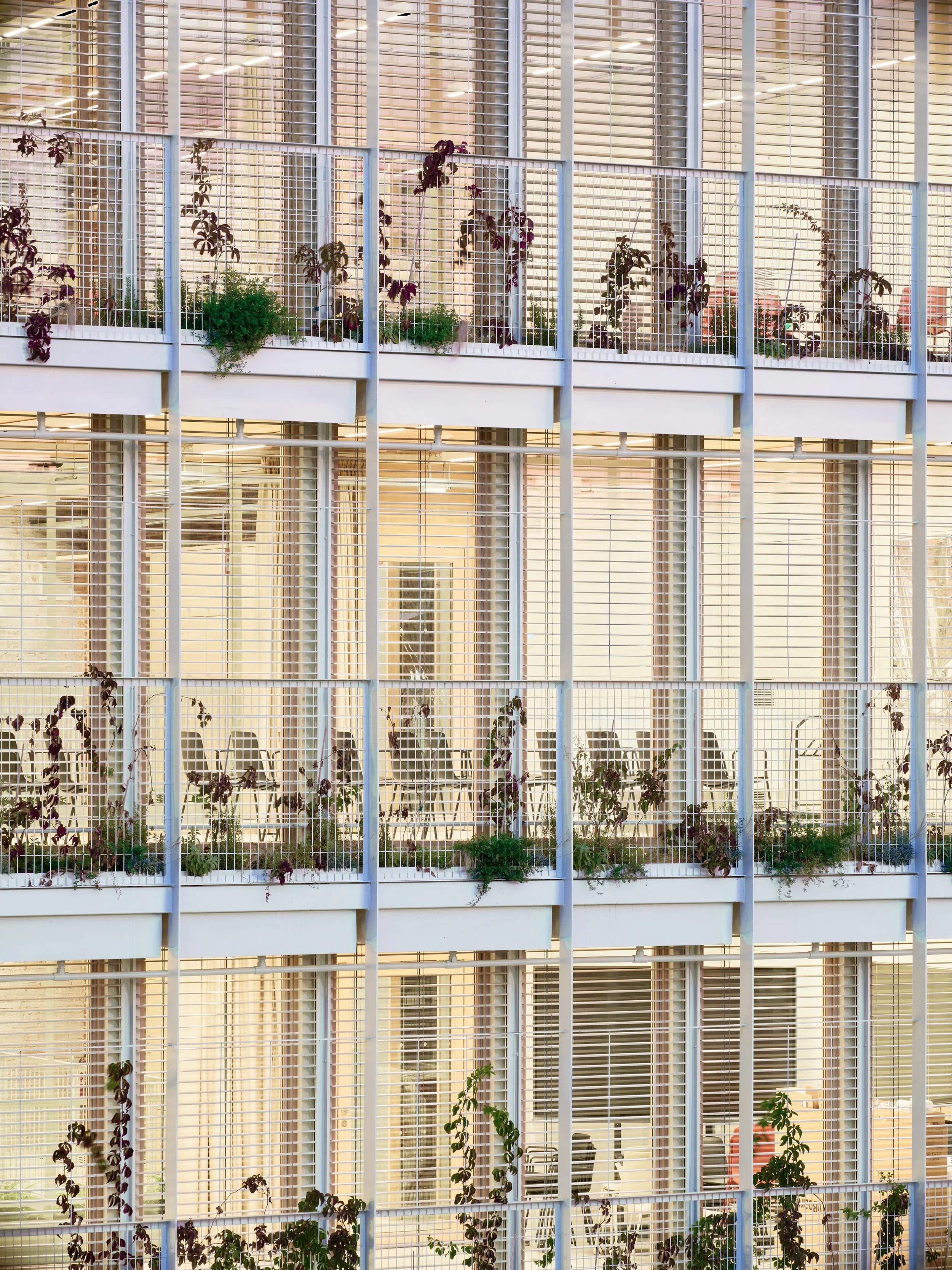 CENTRE OLZINELLES 07.jpg