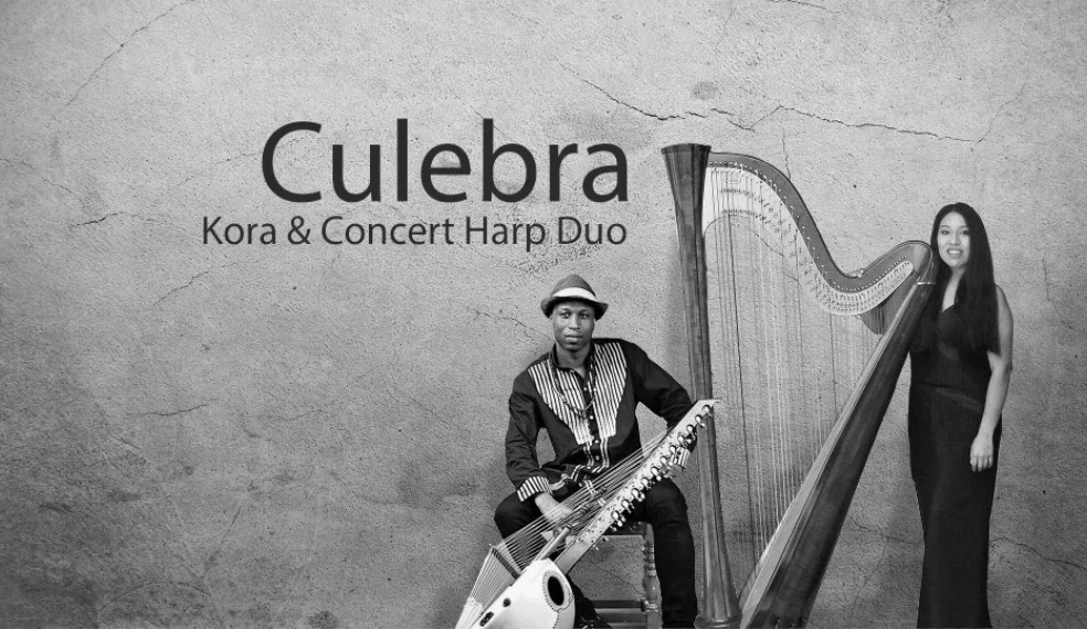 Ruby Aspinall performing at World Harp Congress 2020