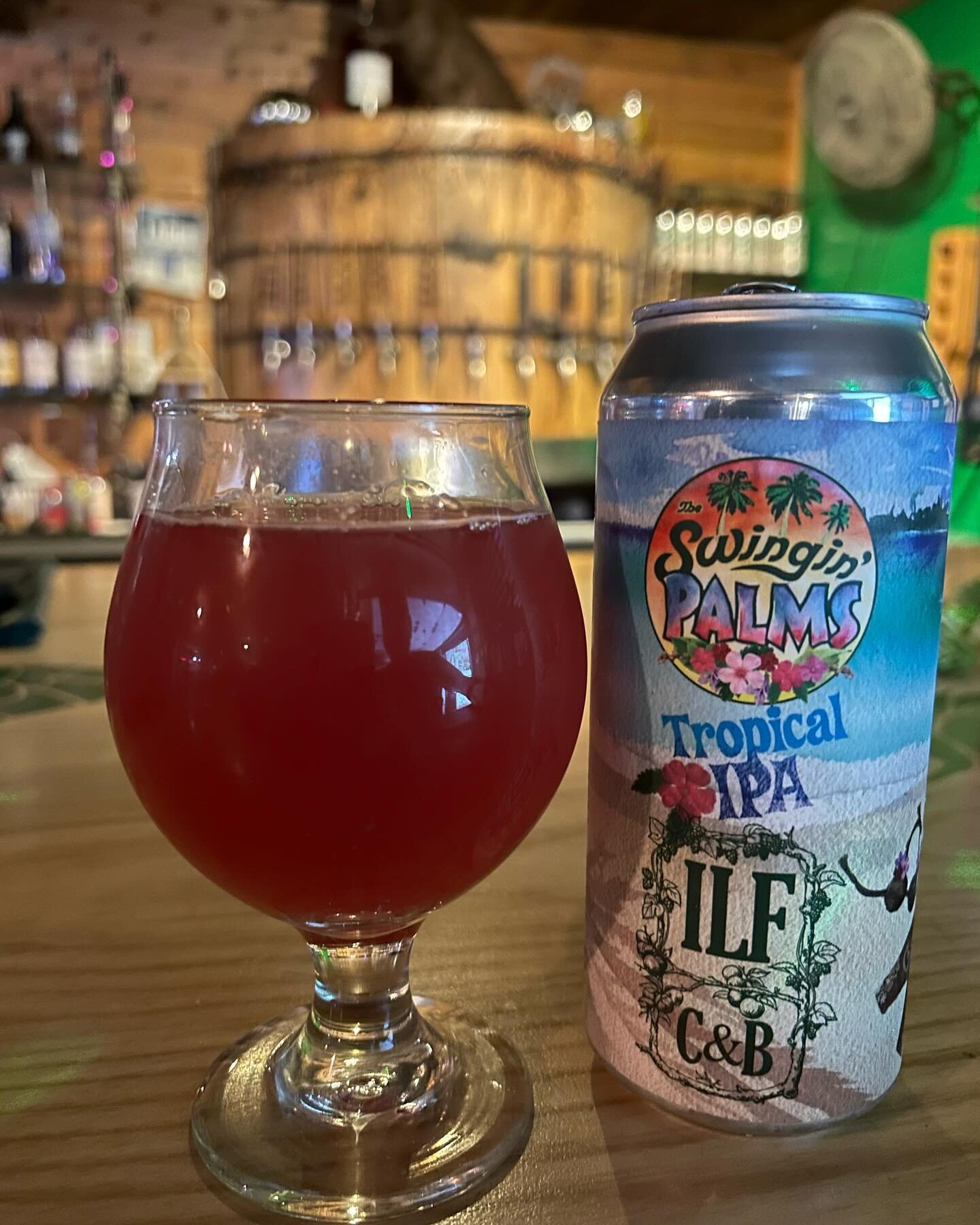 The @indianladderfarmsciderybrewery Swingin&rsquo; Palms Tropical IPA 2023 edition is being served this weekend at Hawaiian Oktoberfest! It will sell out, so get it while you can!