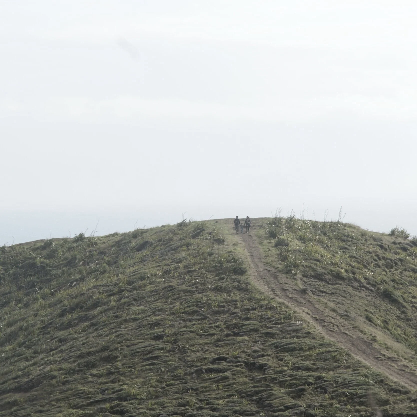 Still-Life Visual Meditations No.2