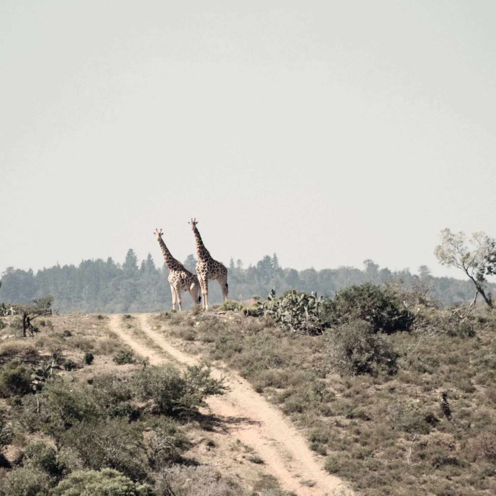 I'm Going To Show You 5 Ways to Redevelop Your Imagination