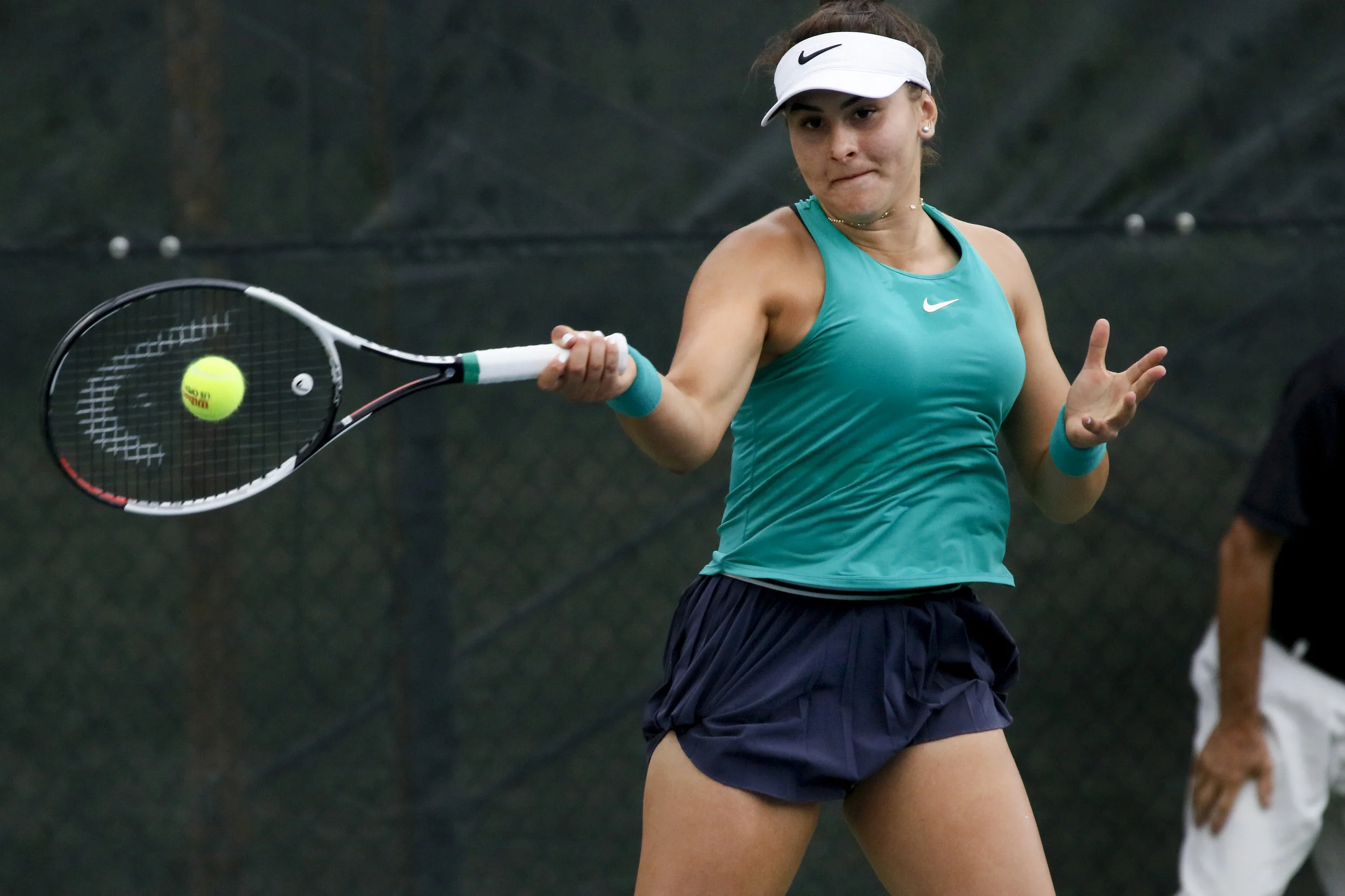 Andreescu 6.jpg