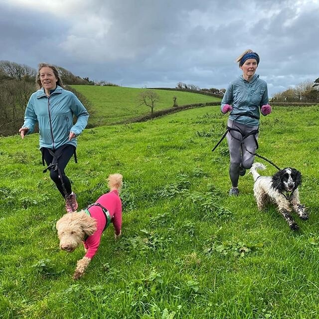 P U P P Y L O V E
.
.
When it comes to running, four legs are always better than two!
.
.
📸 @letsgocanicross
.
.
#hermove #hermovemagazine #imoveforme #canicross #dogfituk #trainhappy #intuitiveexercise #thisgirlcan #runnersofinstagram #trailrunning