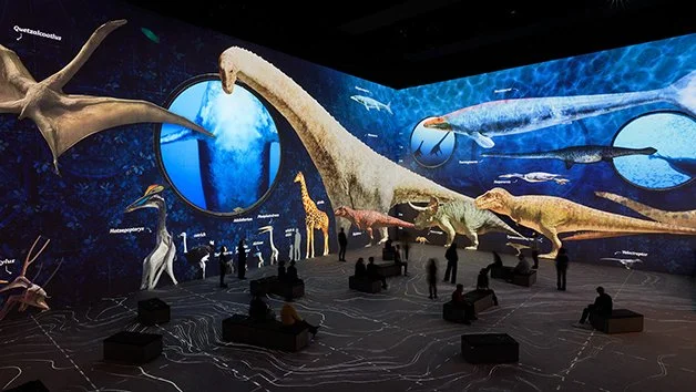 Discovering Dinosaurs - Room lit up with dinosaurs