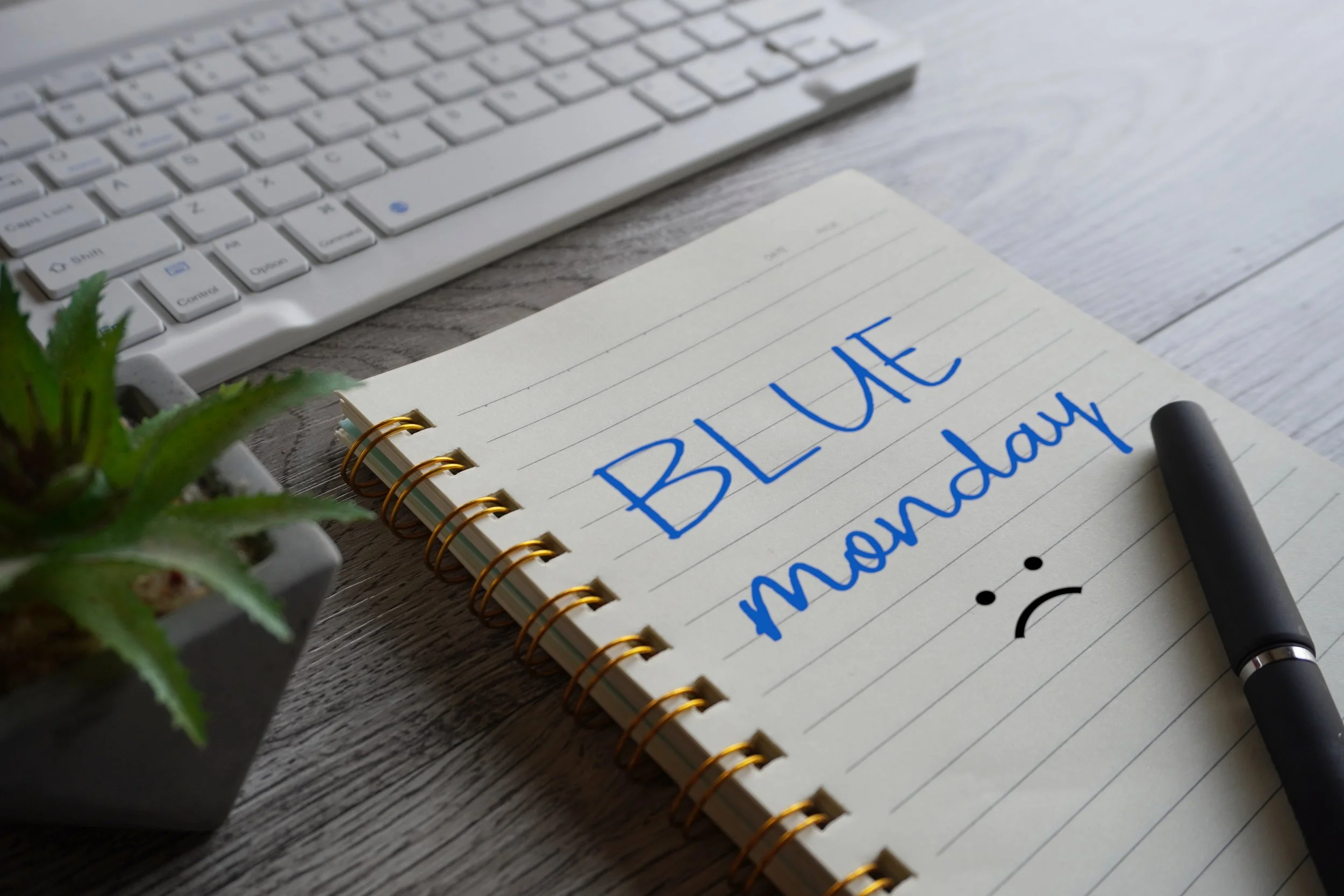 Blue Monday Work Pad