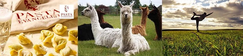 Stress busting experiences