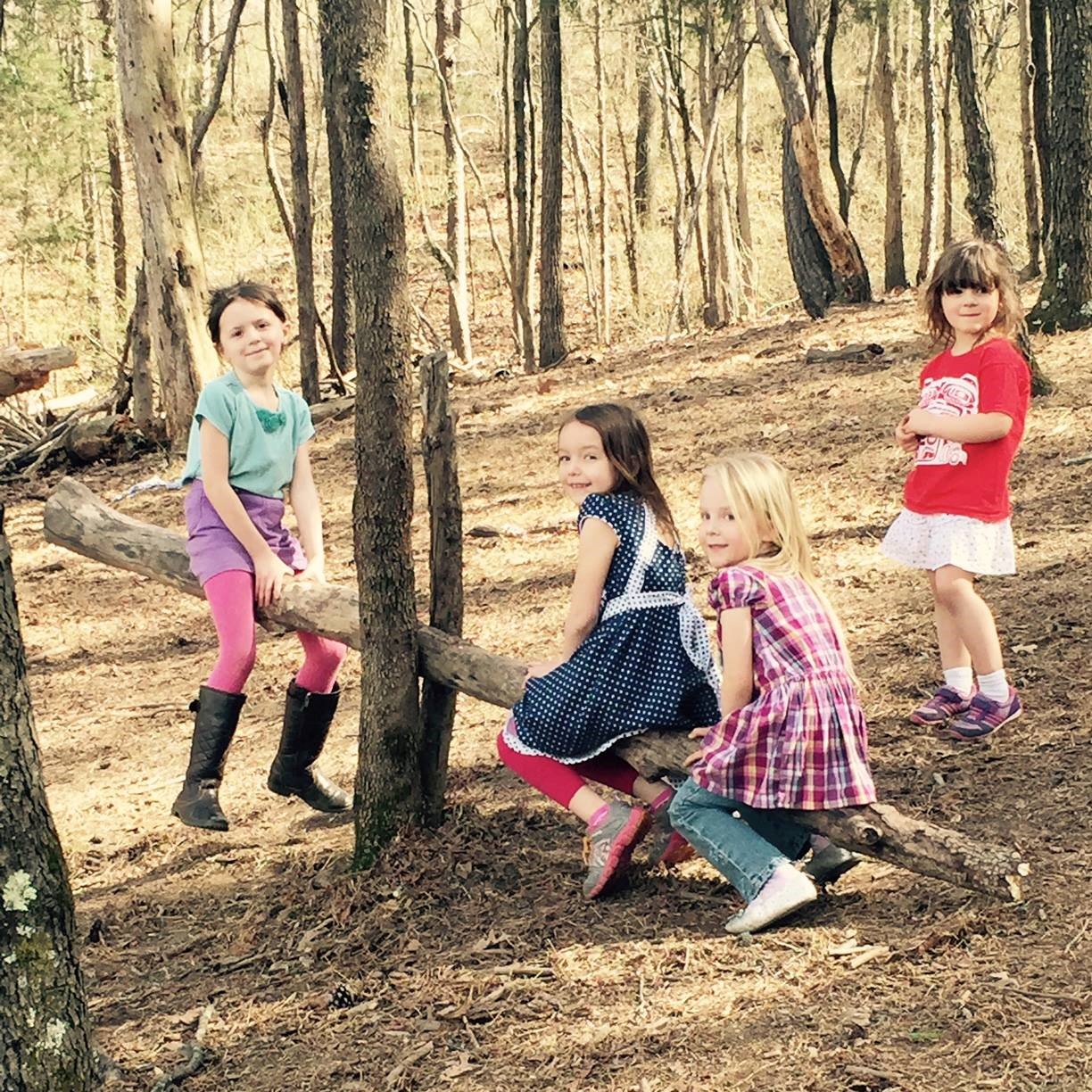 Mountain%20Laurel%20Montessori%20School.jpg