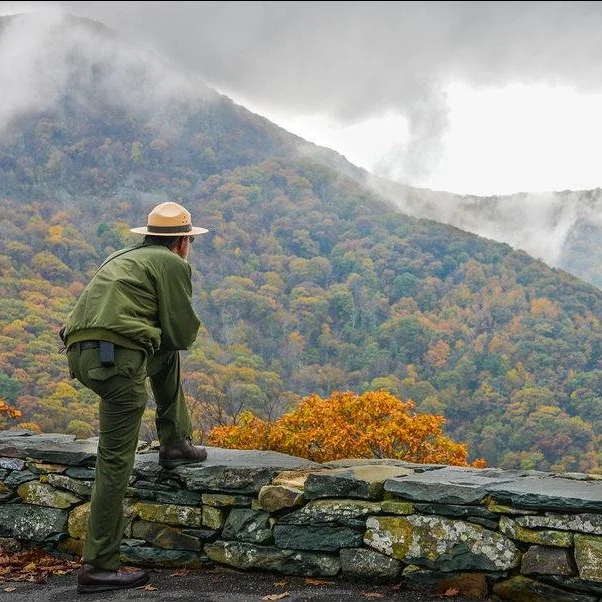 Shenandoah%20National%20Park%20TrustSq.jpg