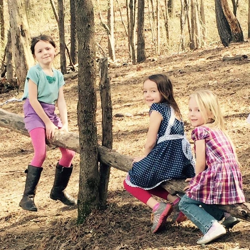 Mountain Laurel Montessori SchoolSq.jpg