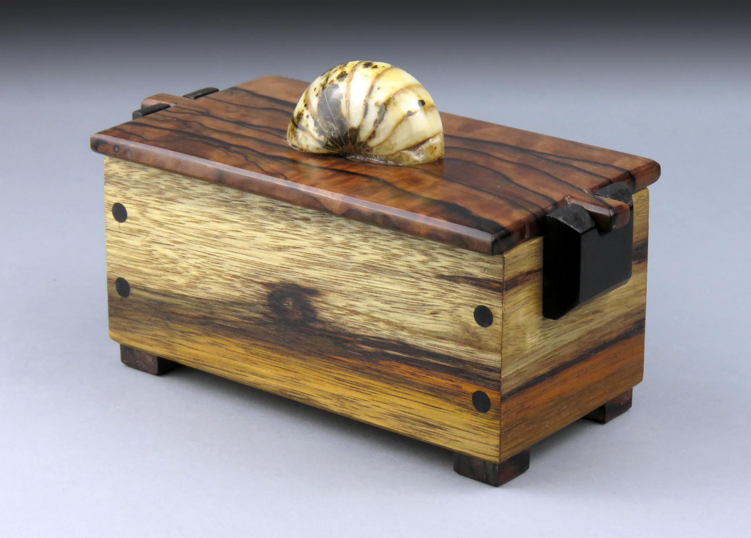 Nautilus Box: SOLD 