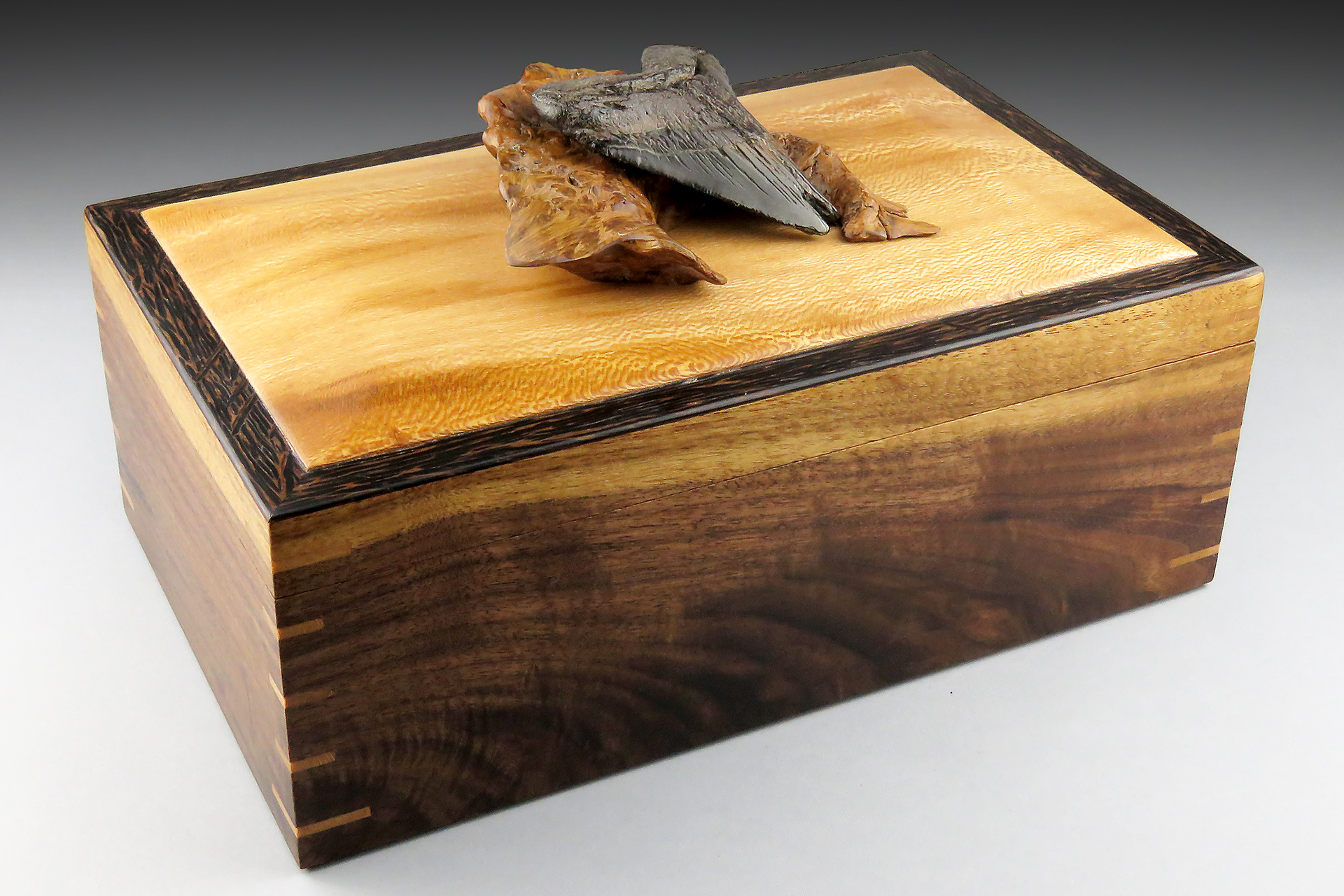 Megalodon Jewelry Box: SOLD 