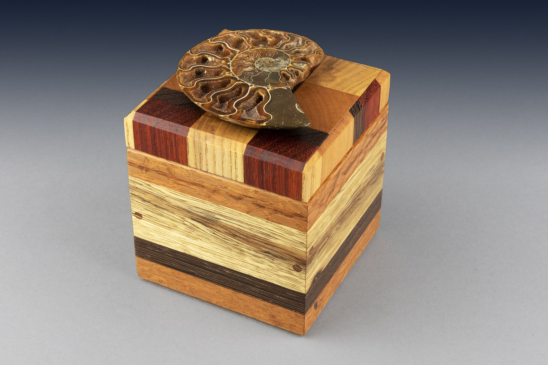 Ammonite Box: SOLD