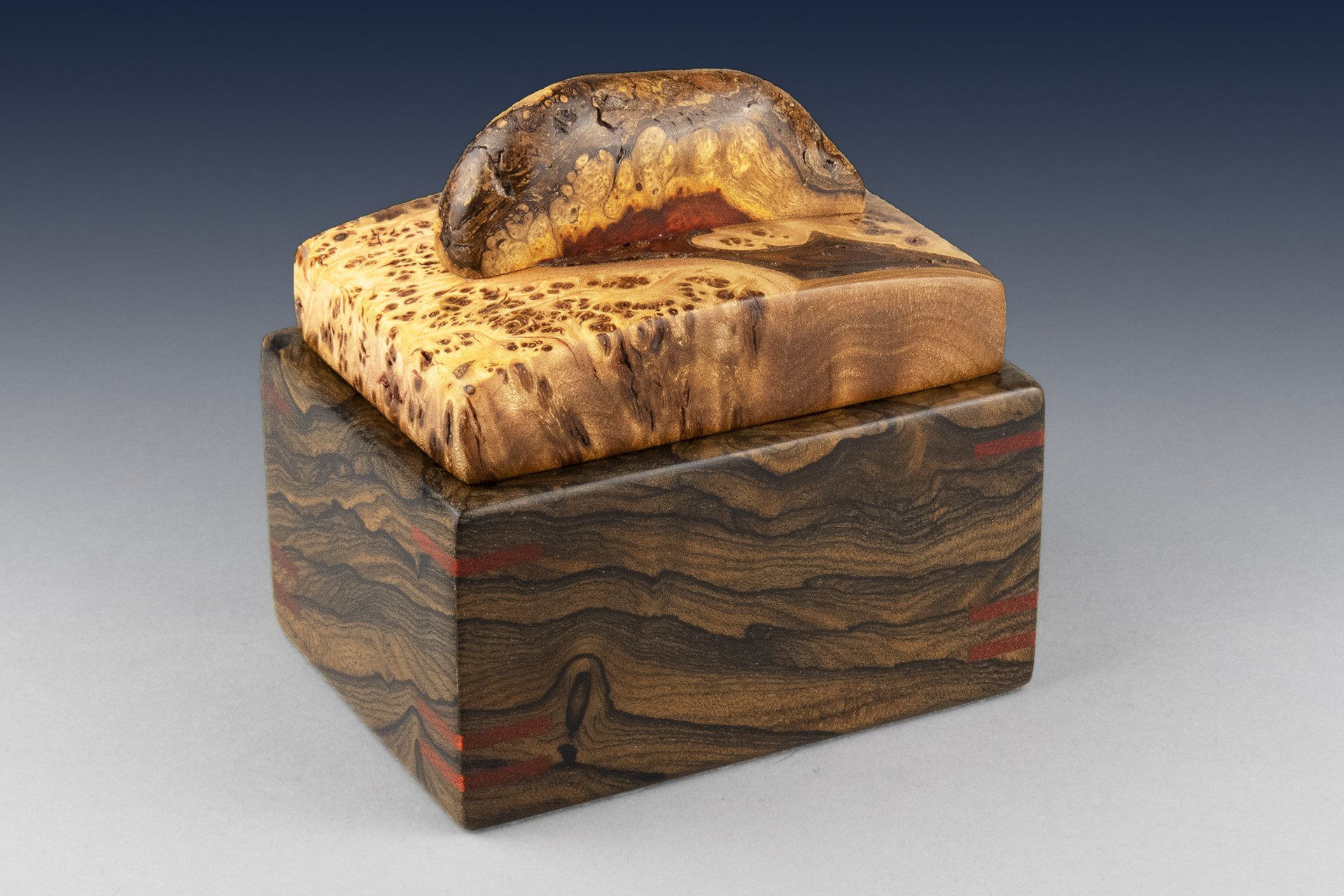 Japanese Elm Burl Box: SOLD