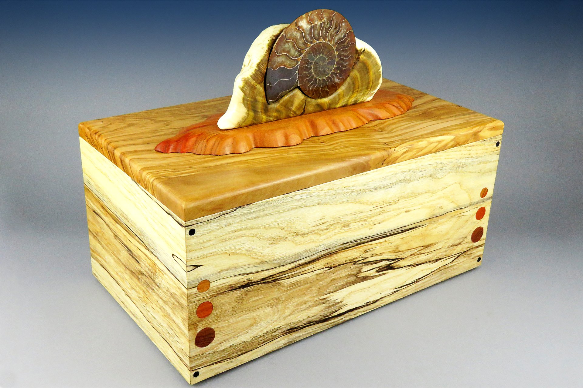 Large Ammonite Box: SOLD