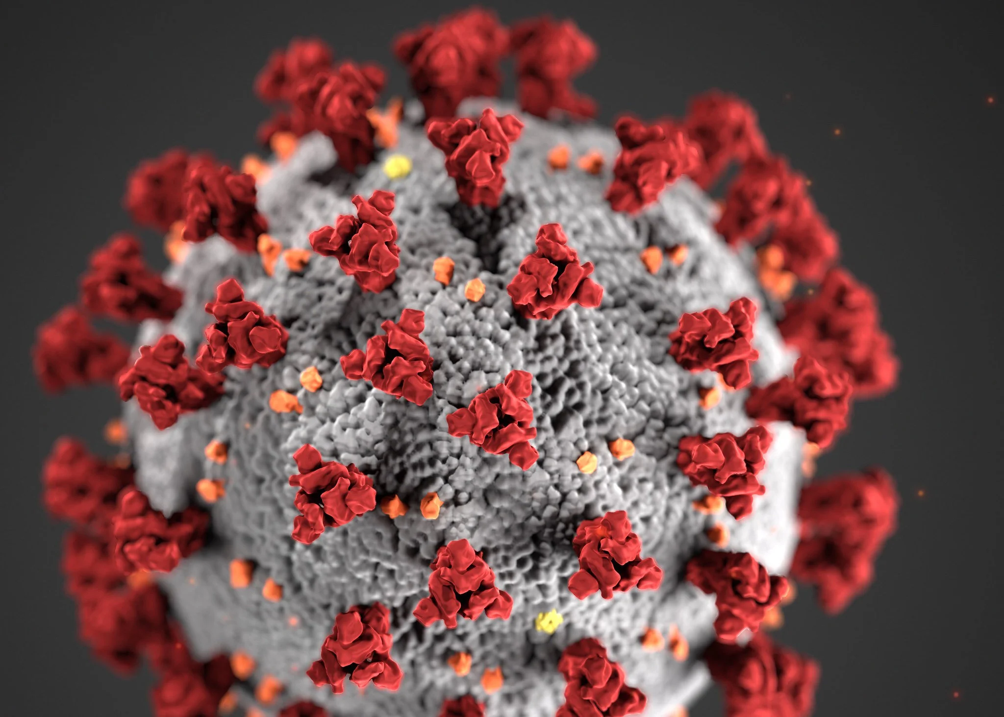 COVID-19 Update &amp; Guidance