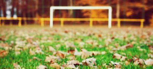 Fall 2020 - Travel Info