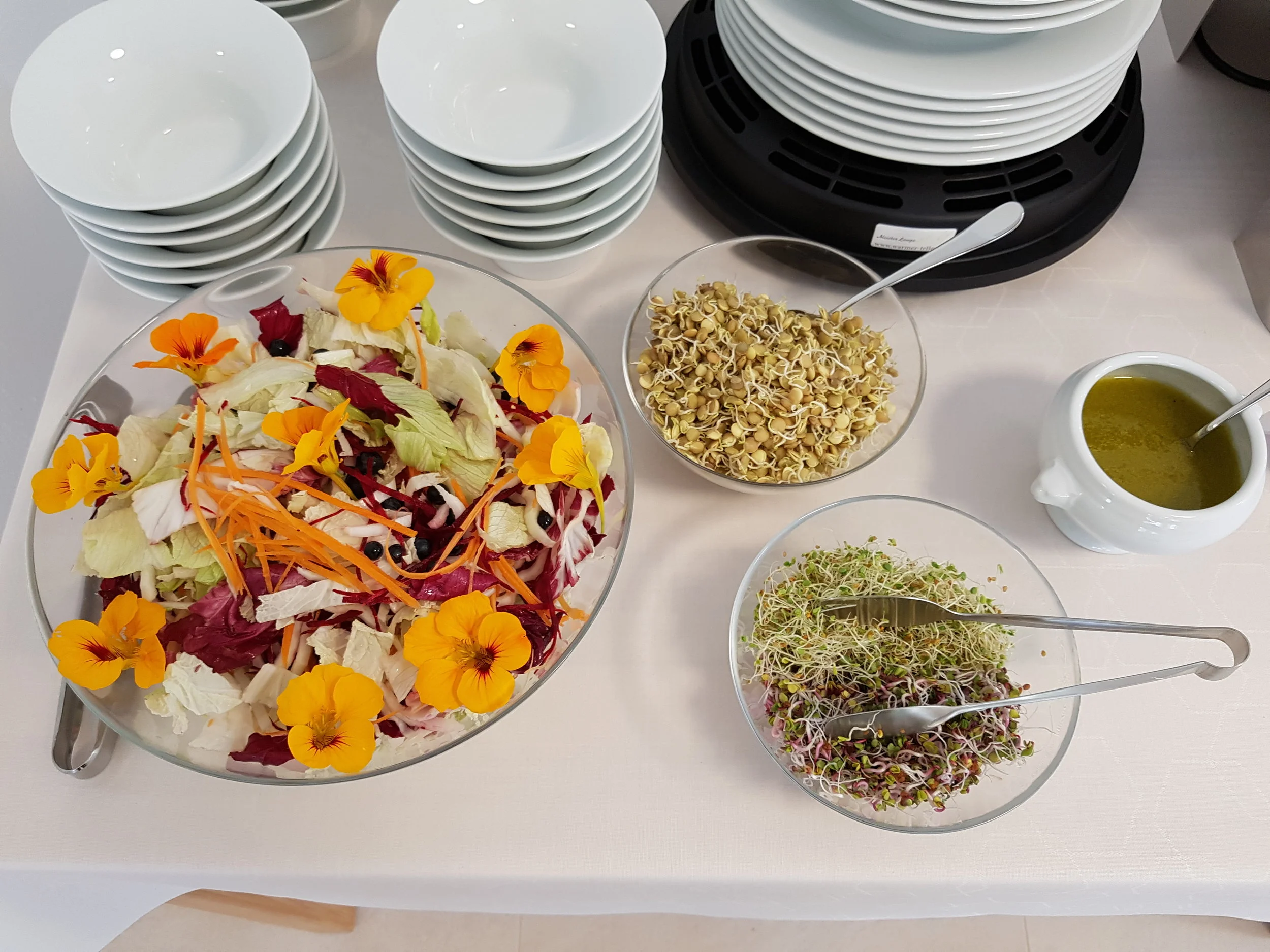 Salat und Sprossen