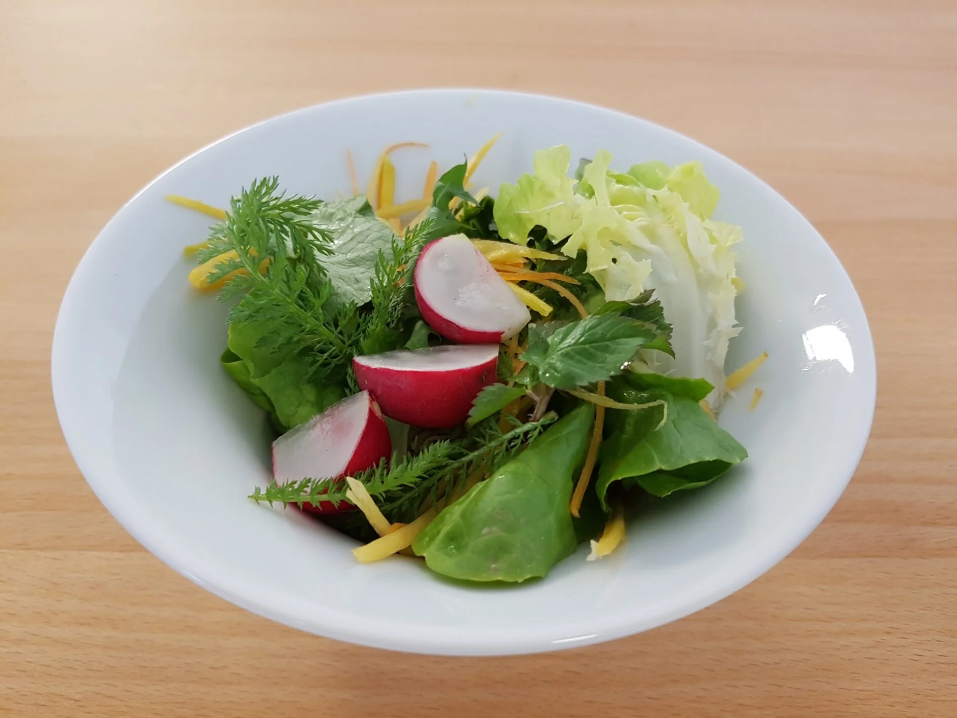 Bunter Salat mit Wildkräutern