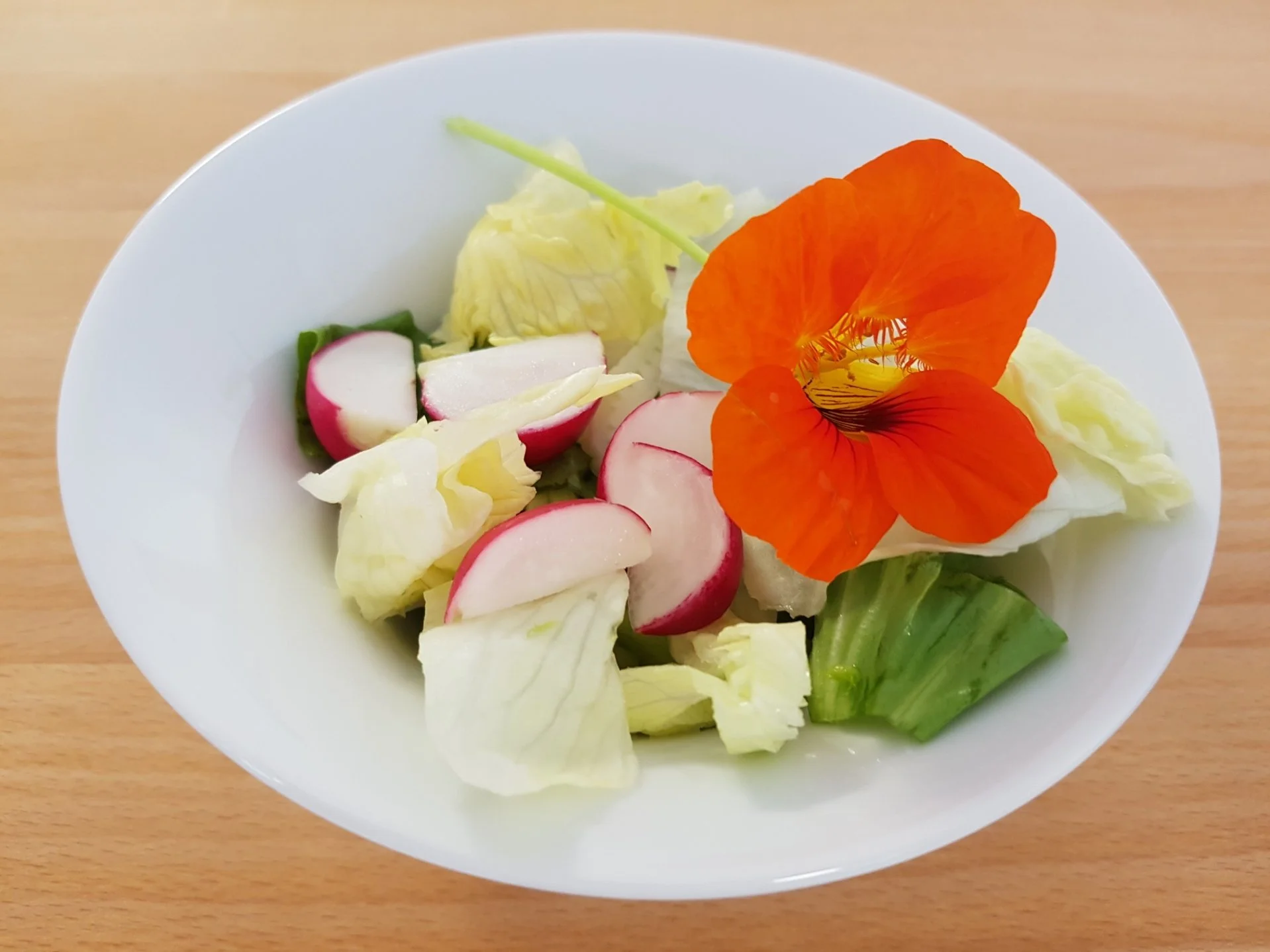 Salat mit Kapuzinerkresse