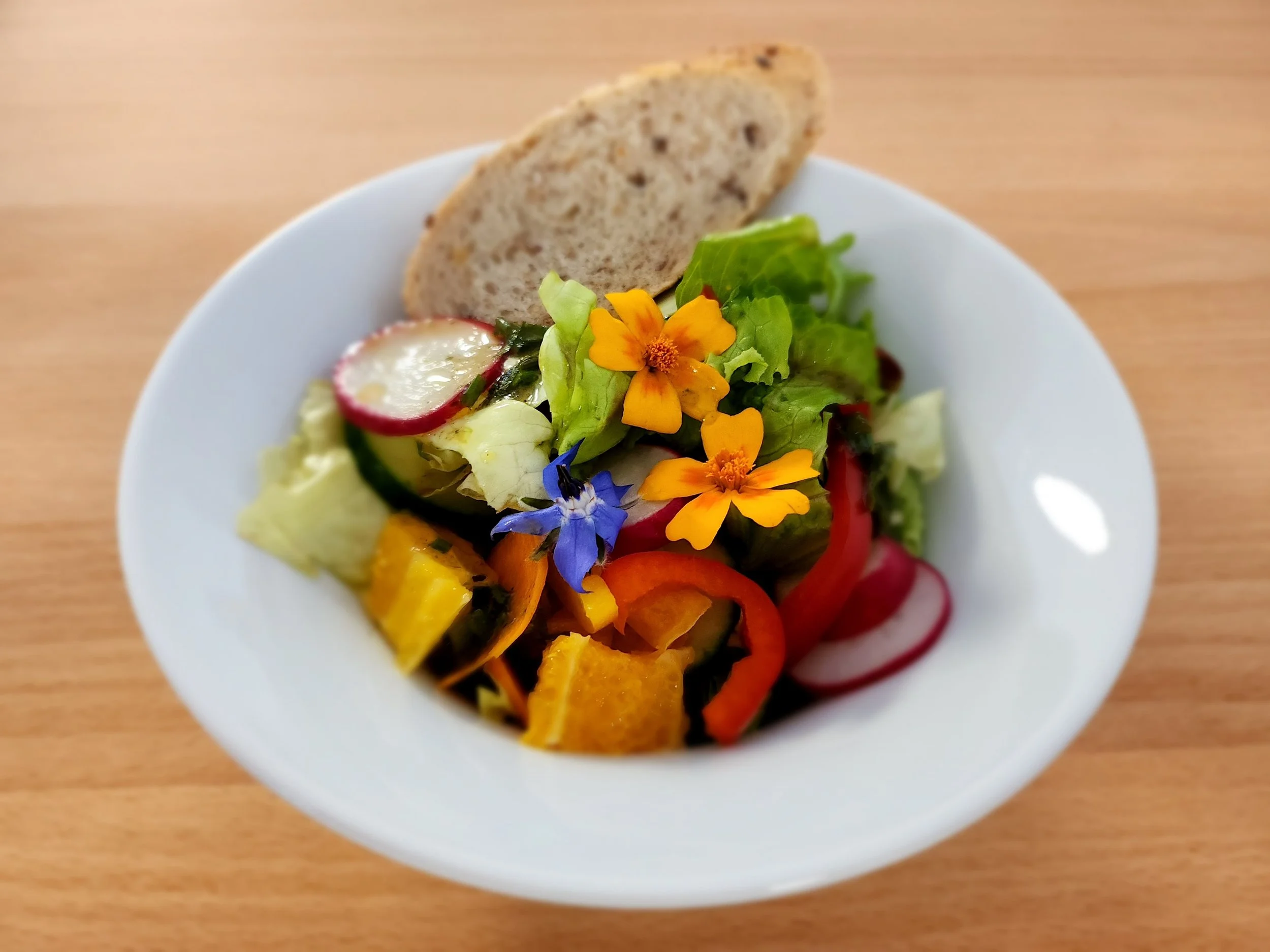 Salat bunt