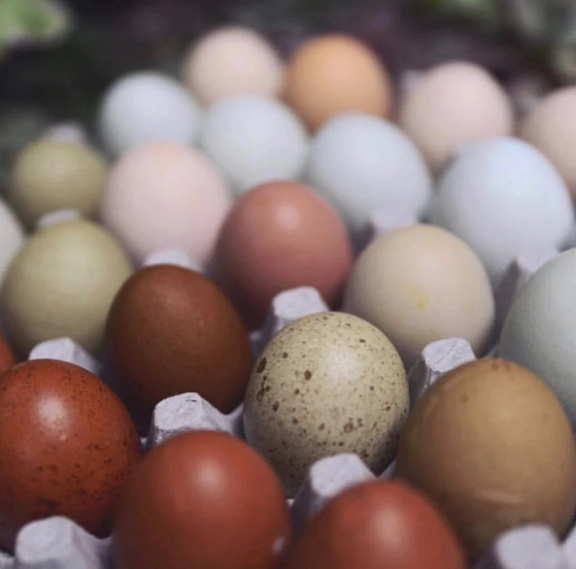 66E92EFA-48F7-4D14-A005-37743E0DCC08