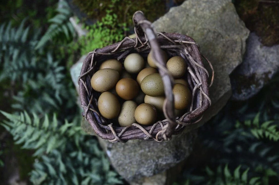 1B566566-505F-4FC0-9759-FFD310BE7964