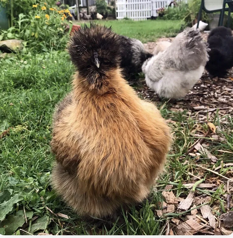 2D1B725F-8FBC-4F46-8064-8F425DBD4E8C