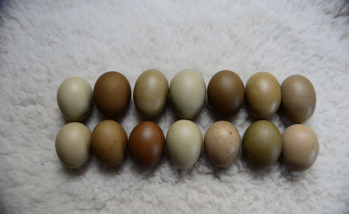 B3B38A3A-3AC7-483F-86A0-8537CCA6665B