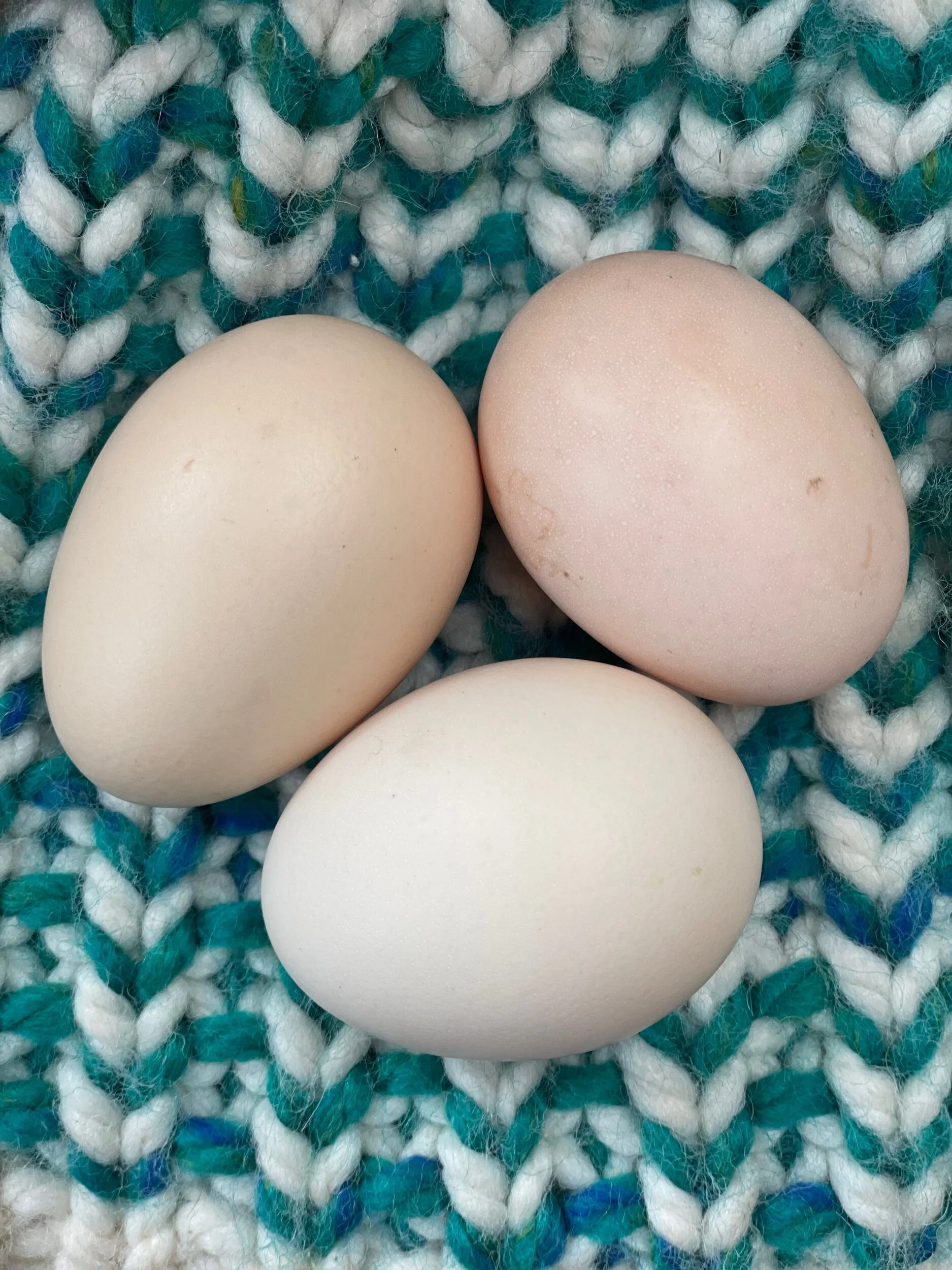 AD081712-F52C-4E41-AA48-72D9D6DFD564