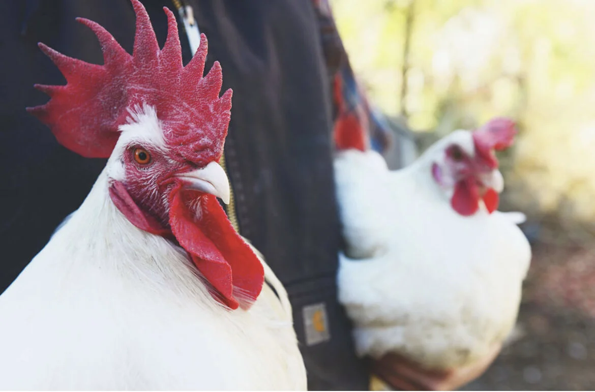 A9EC8A99-7F37-457F-9FD1-F690ACBEB10A