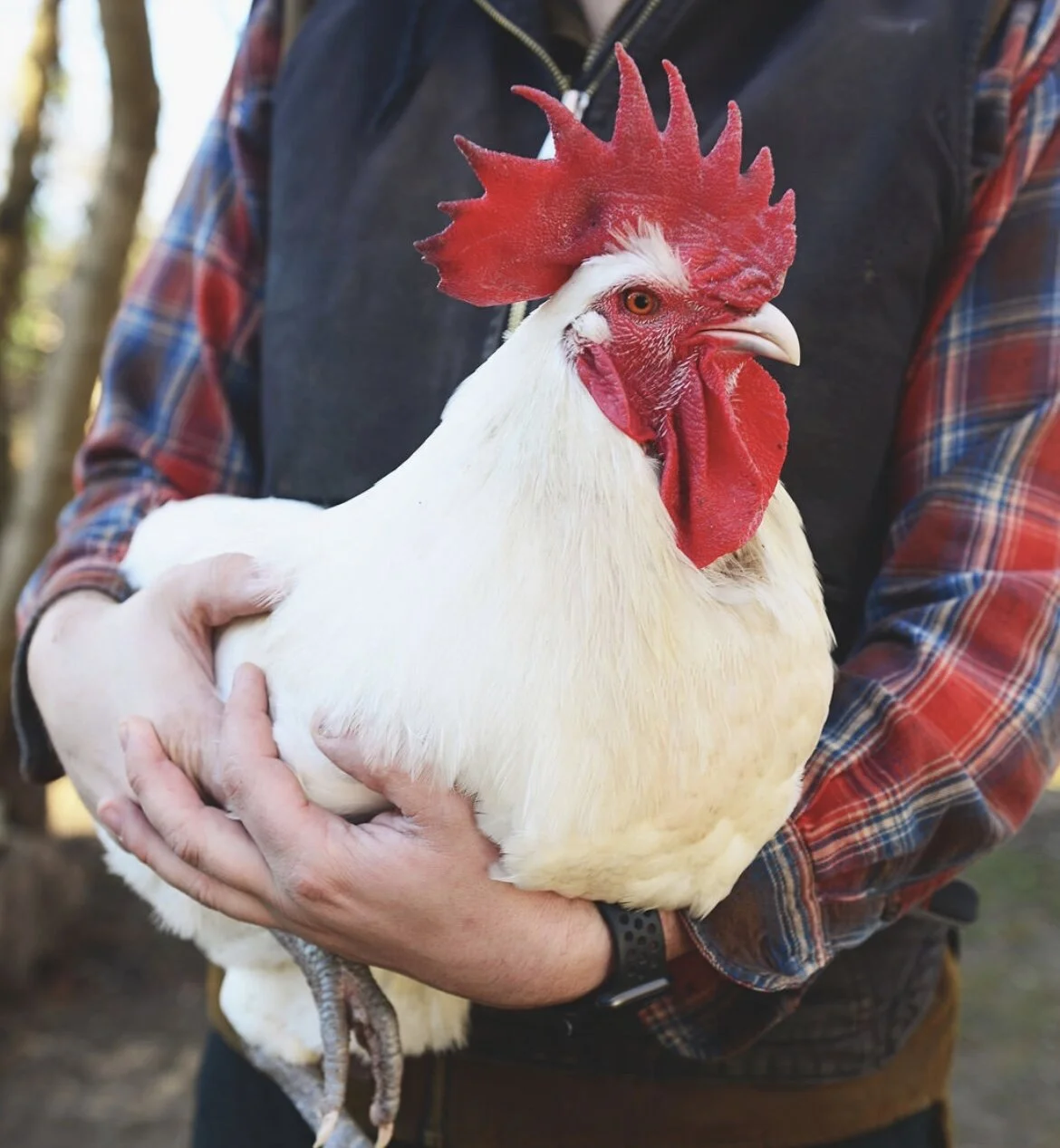 9C85632B-AFD2-4122-A4A2-288DCEBB5BE8