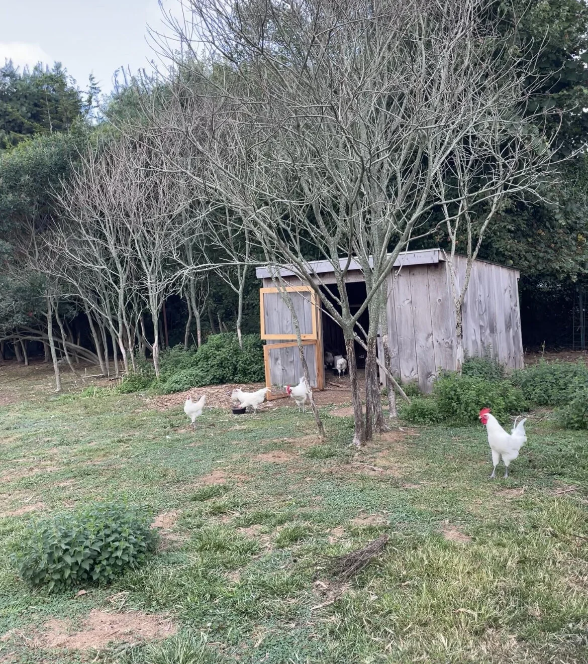 7D93EB01-F86C-4A74-B401-972F7755F431