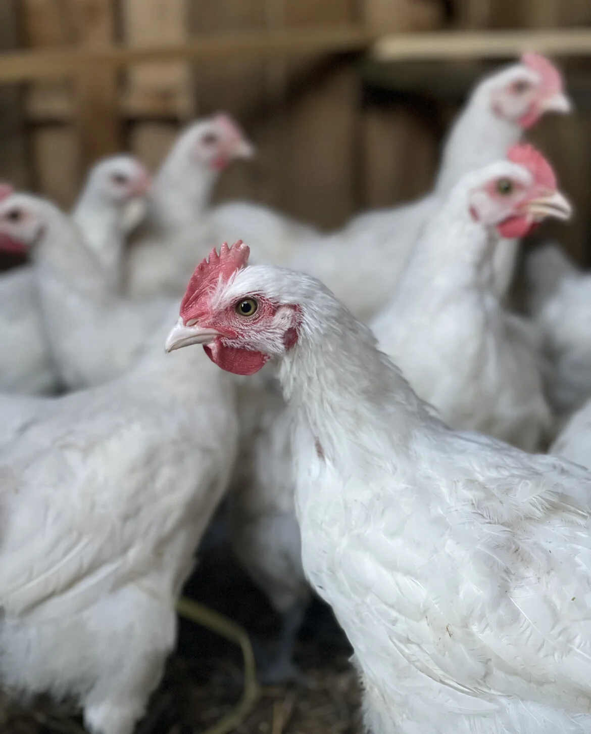 746567F5-1825-4525-A06C-5A43E7E9407C