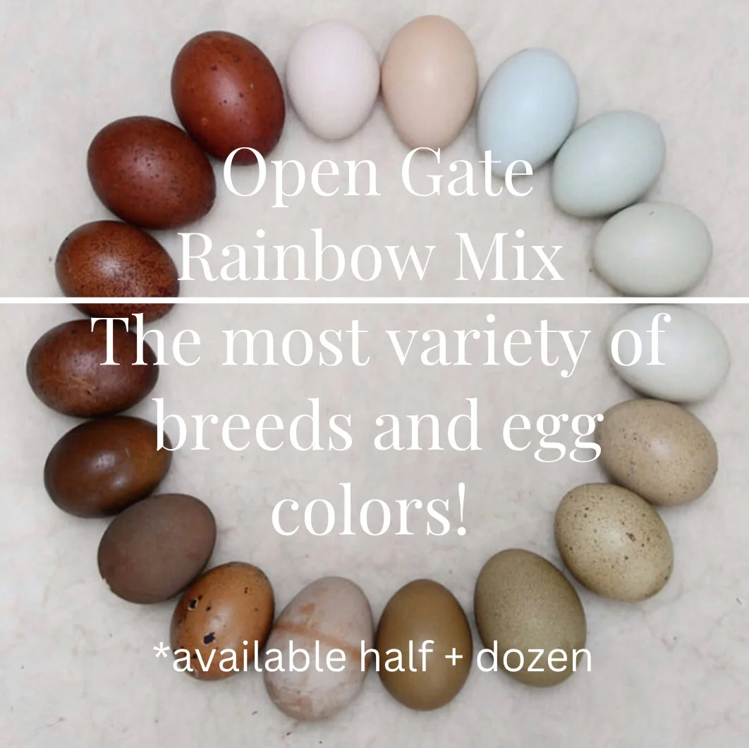 7F2E2ACA-46B0-4B23-A8F1-C8BF25B4EC4B