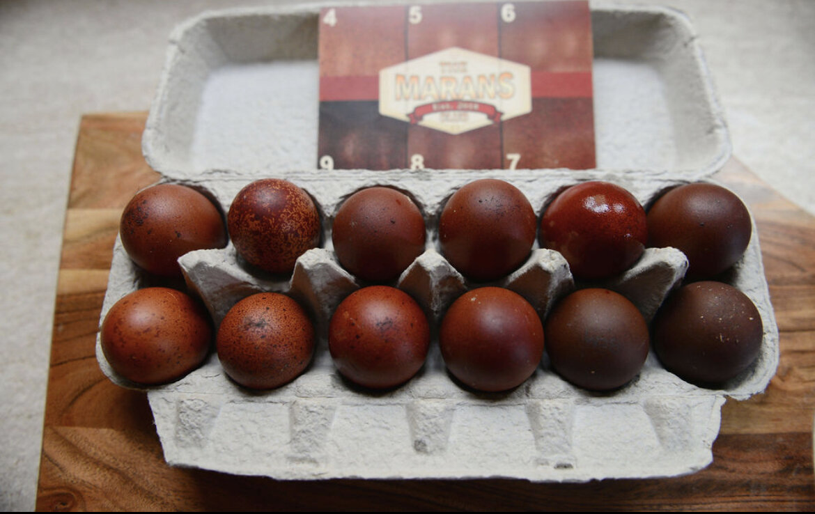 C42C930B-40DA-4DA2-B878-B6544AAC479A