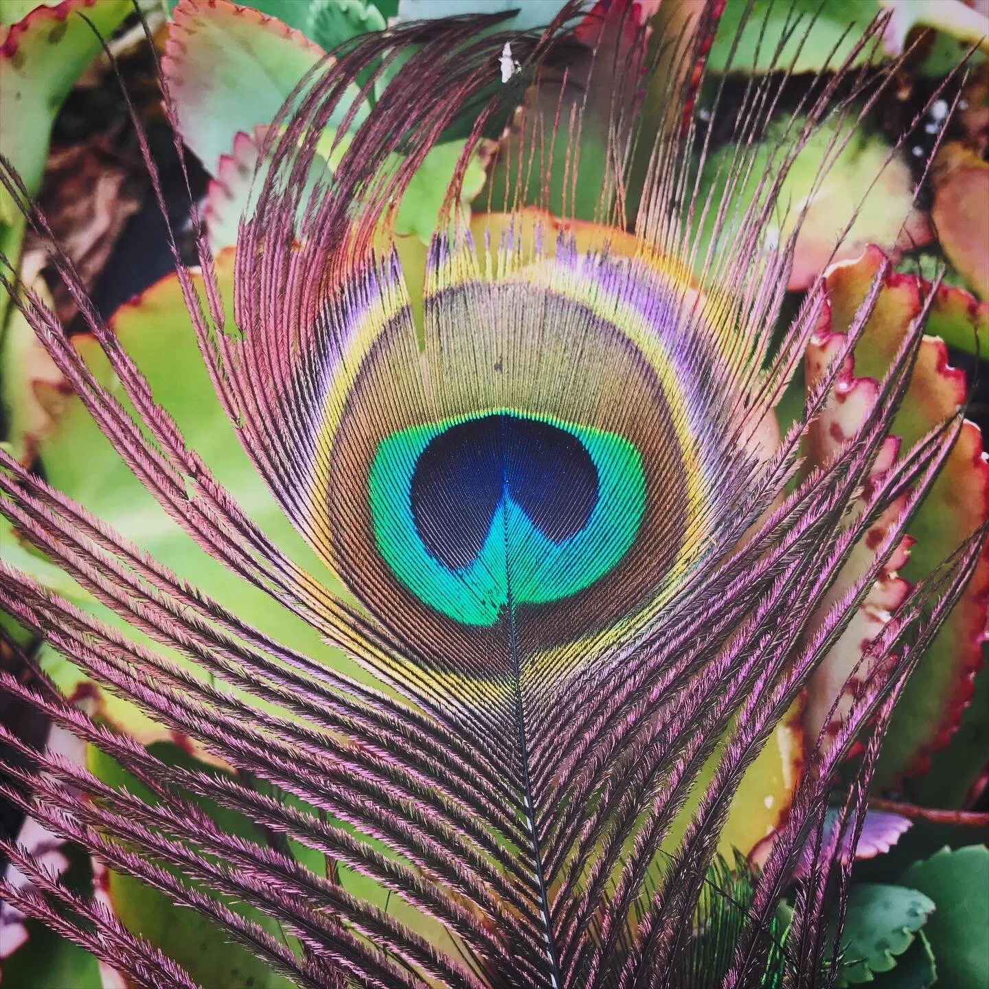 CCD02C92-6C94-41FC-9B0C-606E14540C5F