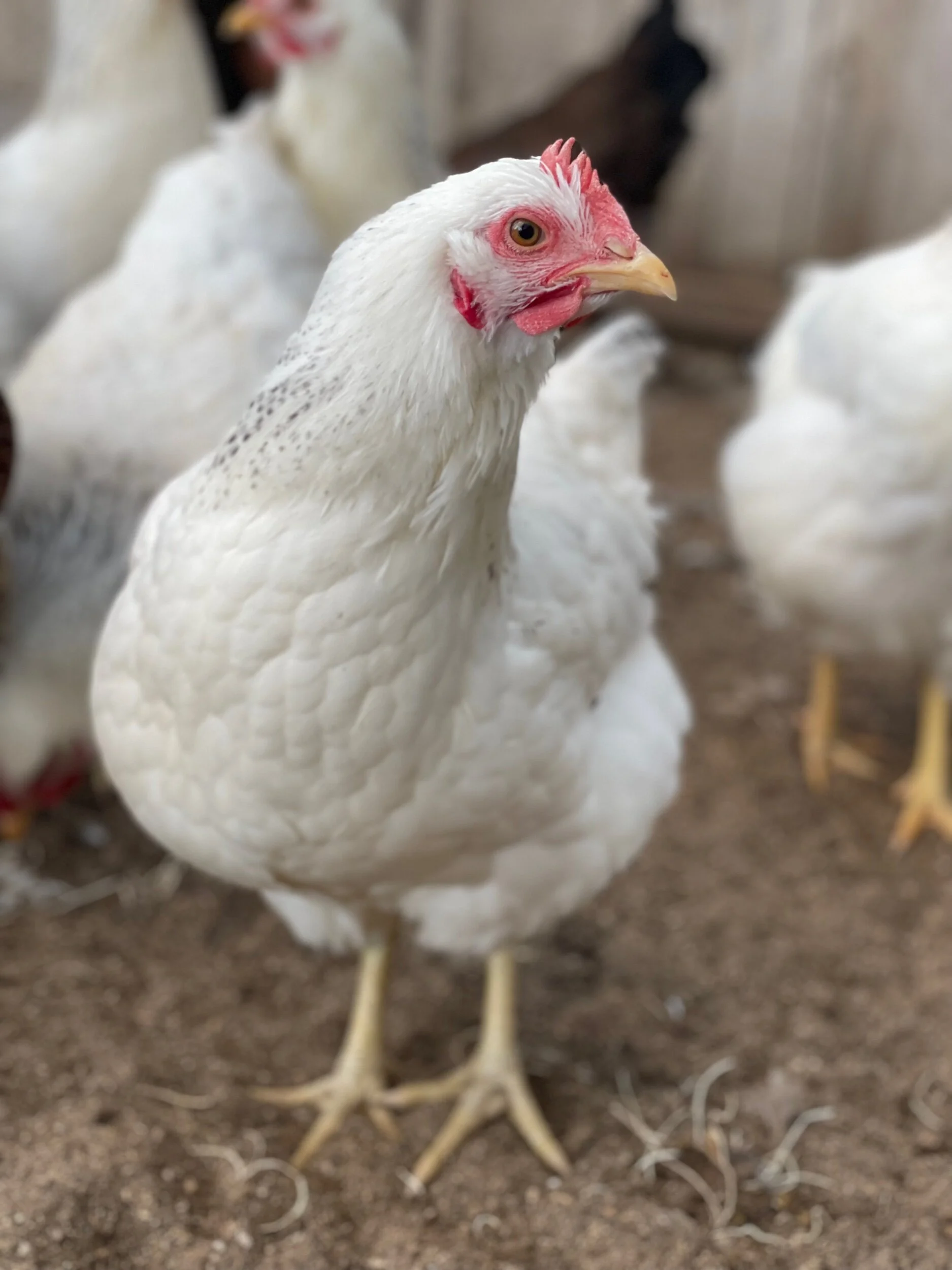 8A512517-44A2-4CBF-82B8-9D49175F1277