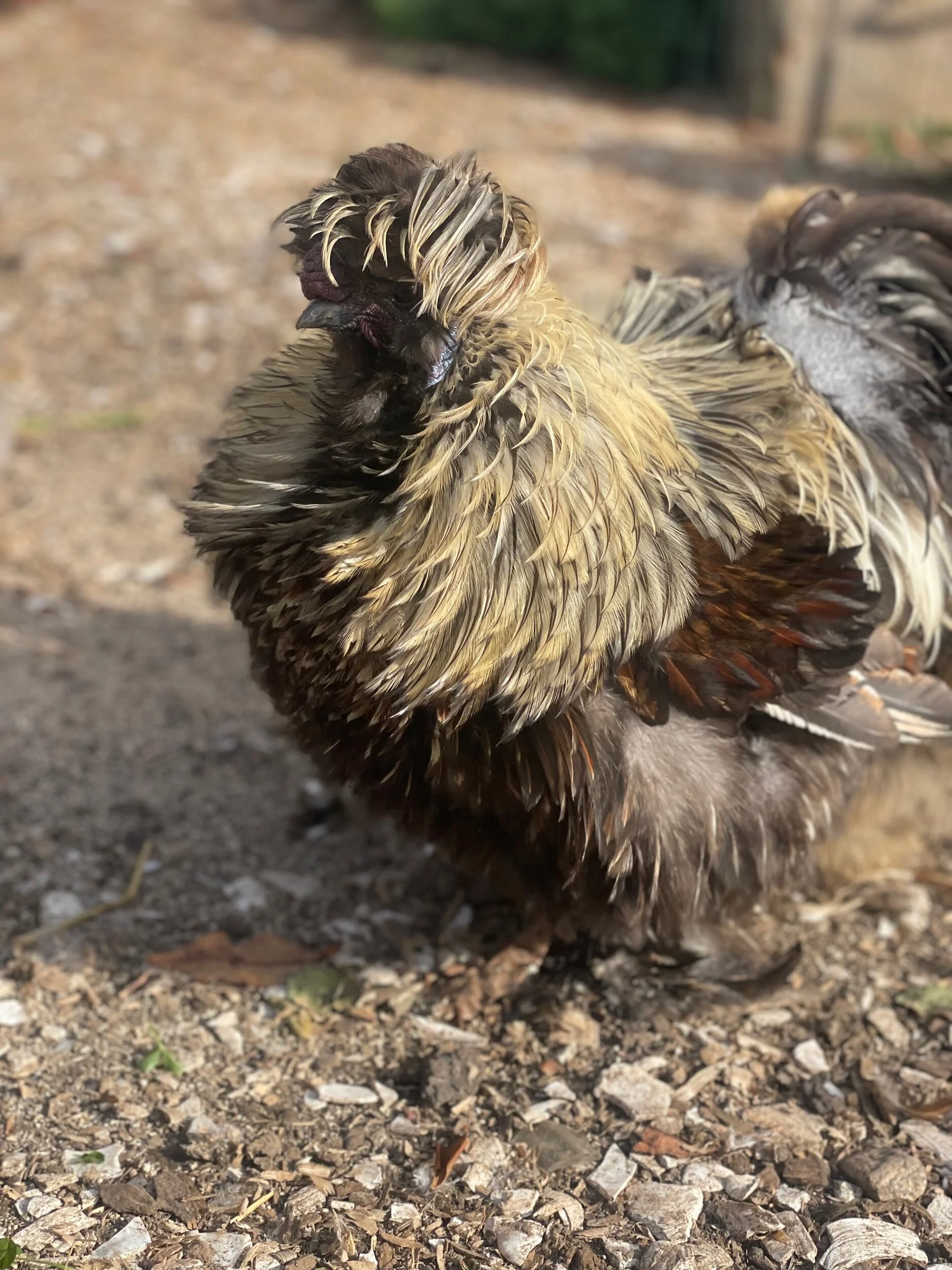 AC0E668D-99BE-4429-AE50-0F636AA9B062