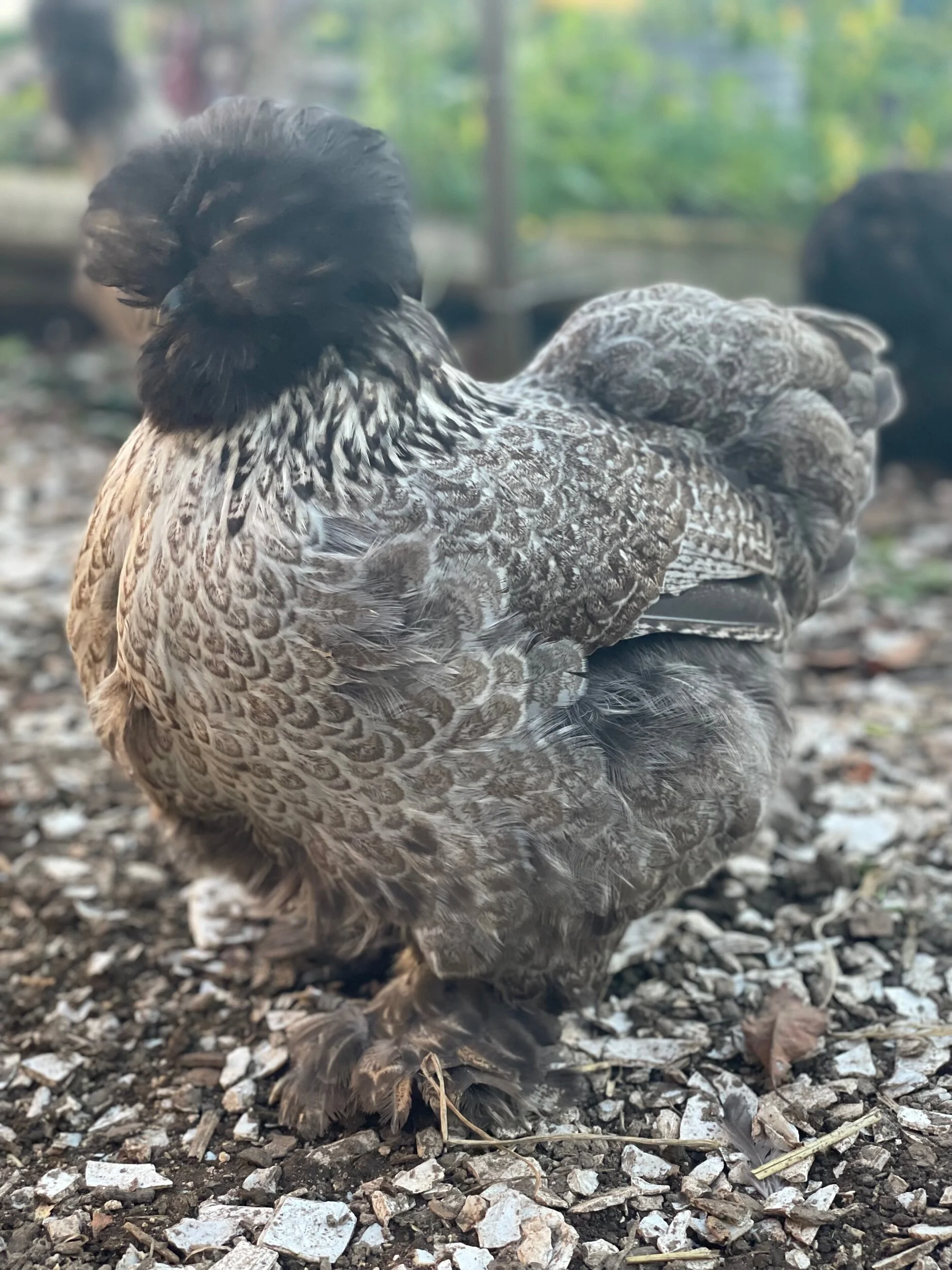 FD67D60E-AA22-42FE-B8FA-23CCF7CA04C1