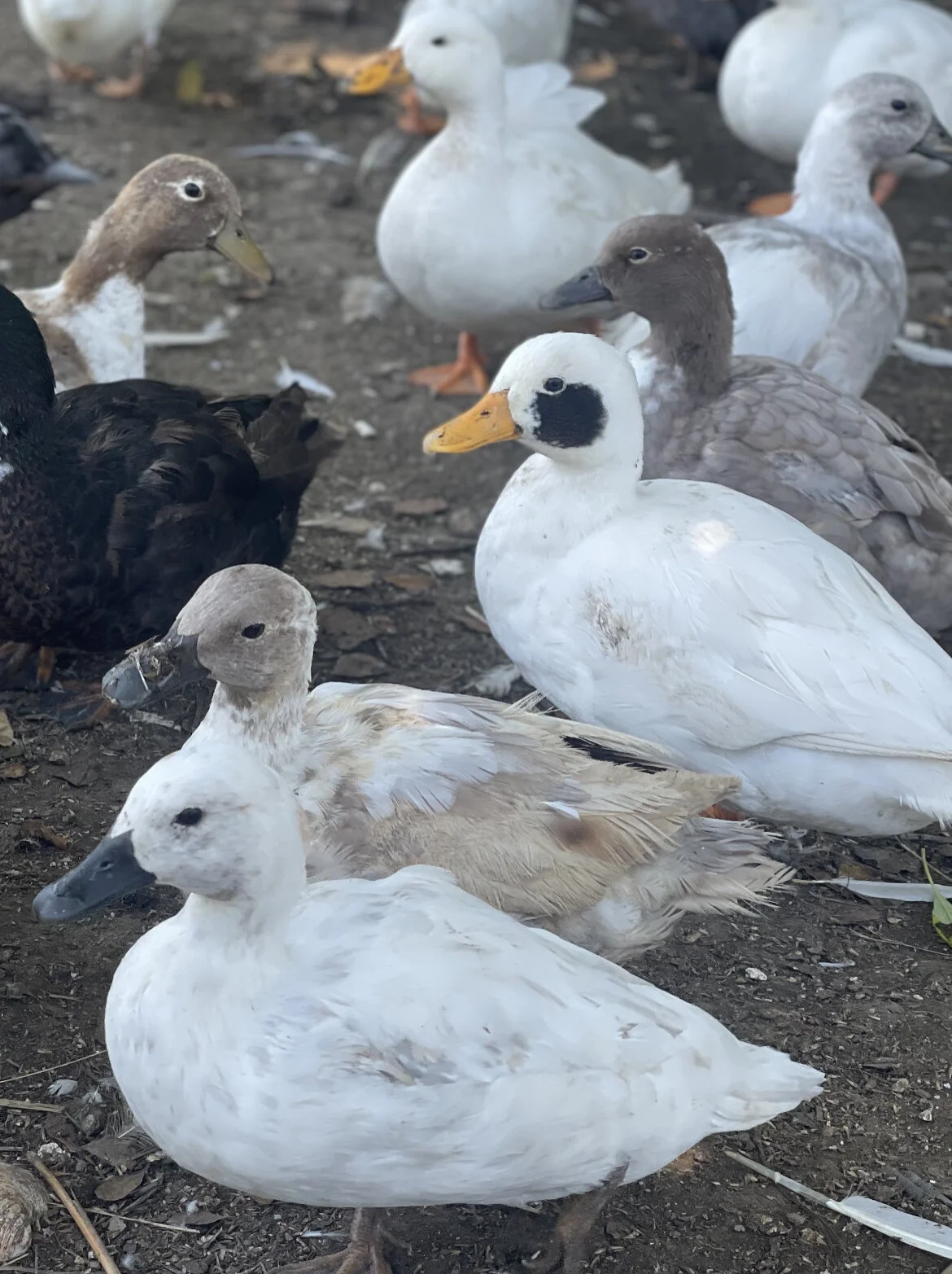 FB8E1F74-9637-4910-8A5C-D0A28F4C1E71