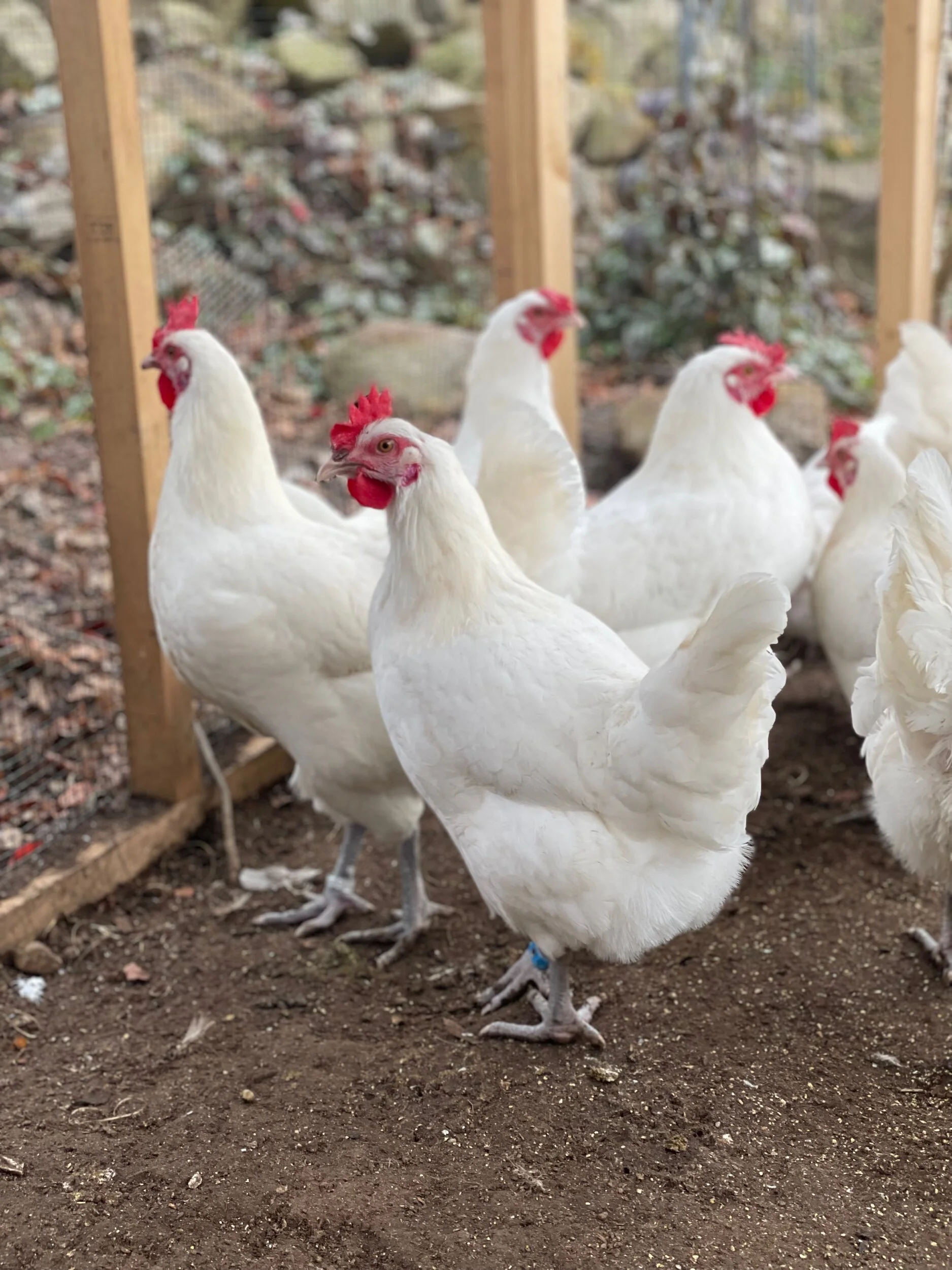 5294EDC0-C937-4DDB-8036-99D0029745B6