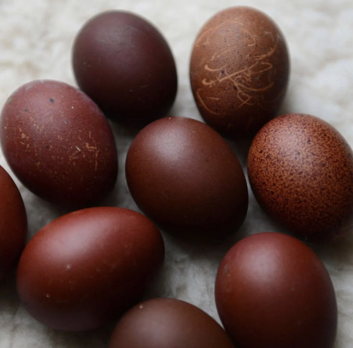 6B8ED514-3412-4382-8BB0-357883169DDF