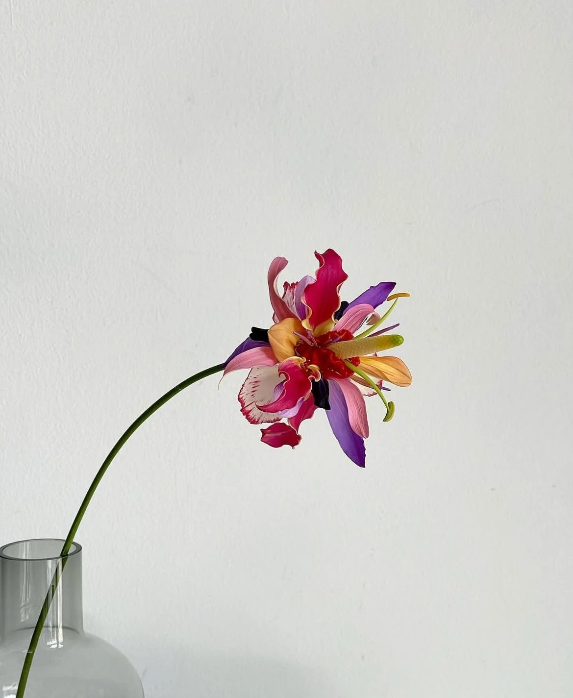 Your Skin | A Delicate Flower