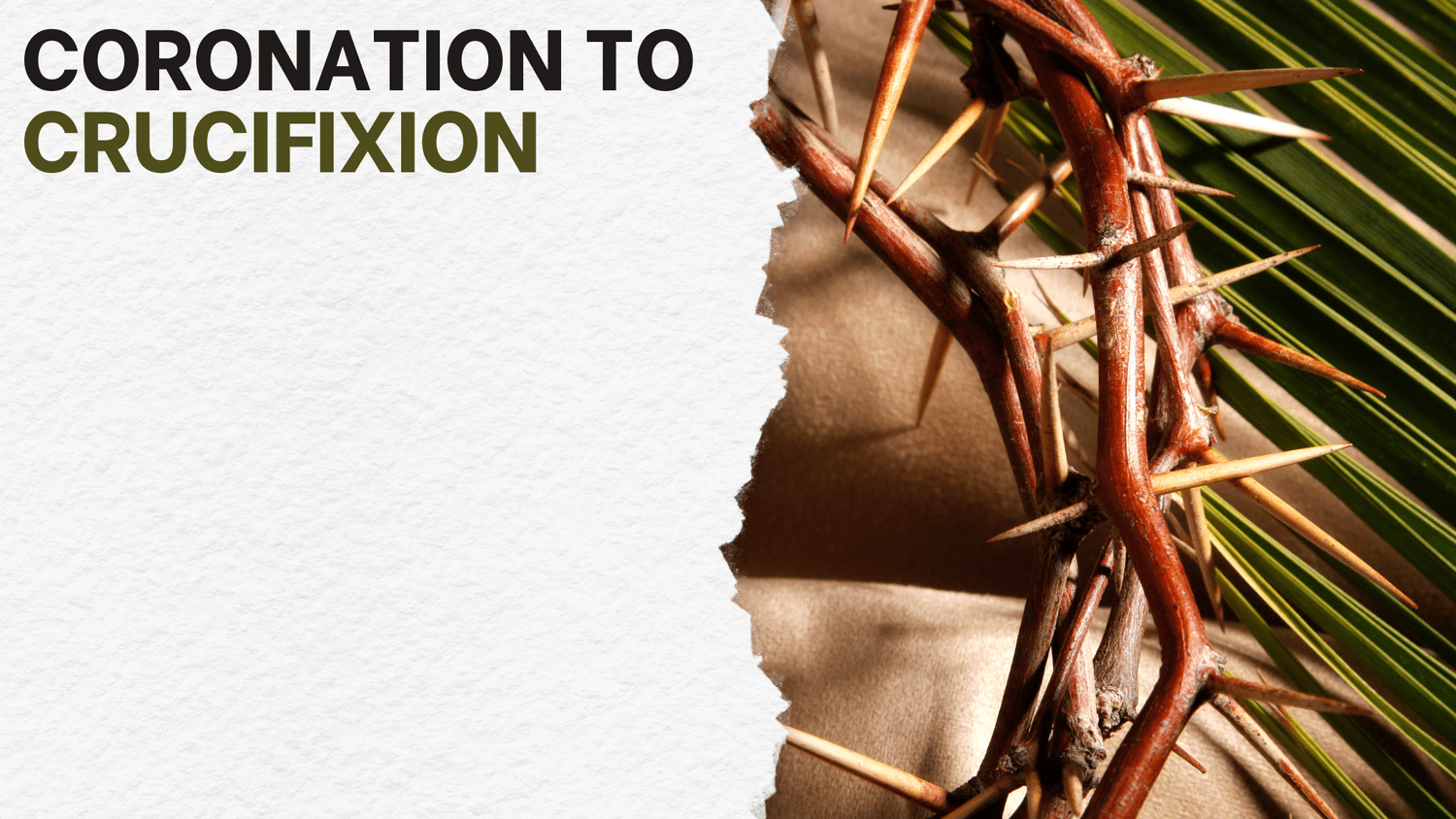 Coronation to Crucifixion - Ben Norris - 13.04.2025