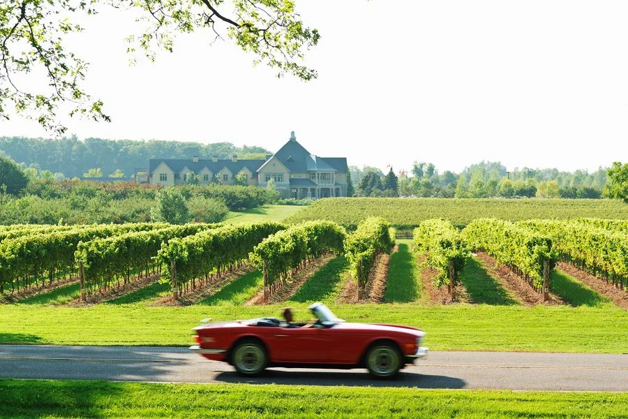 niagara-on-the-lake-wine-vineyards-canada-NIAGARAWINE0718.jpg
