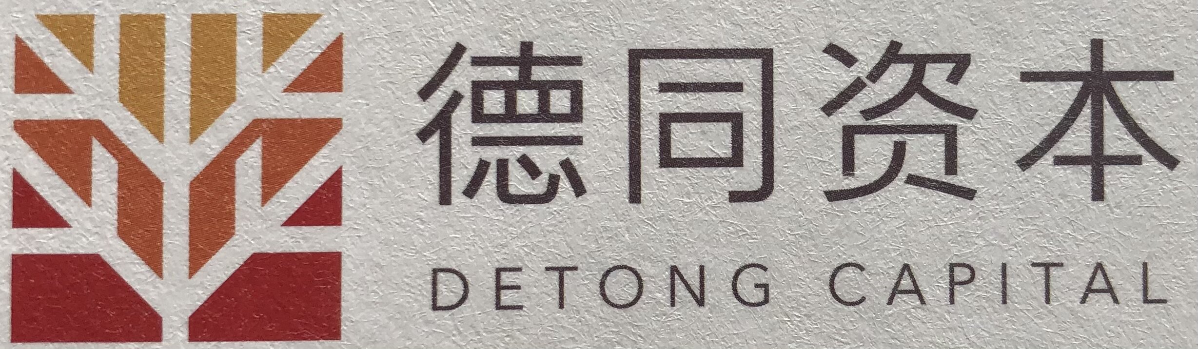 dt_logo1.jpg