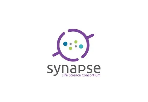 Synapse_WEB.jpg