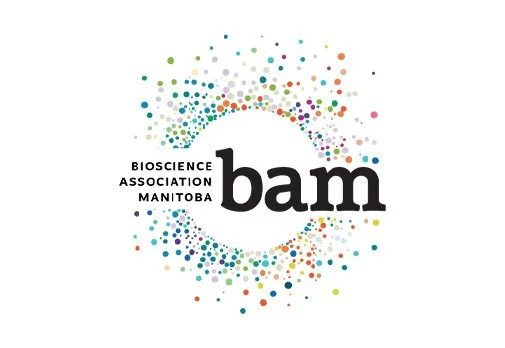 BAM_WEB.jpg