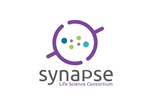 Synapse_WEB.jpg