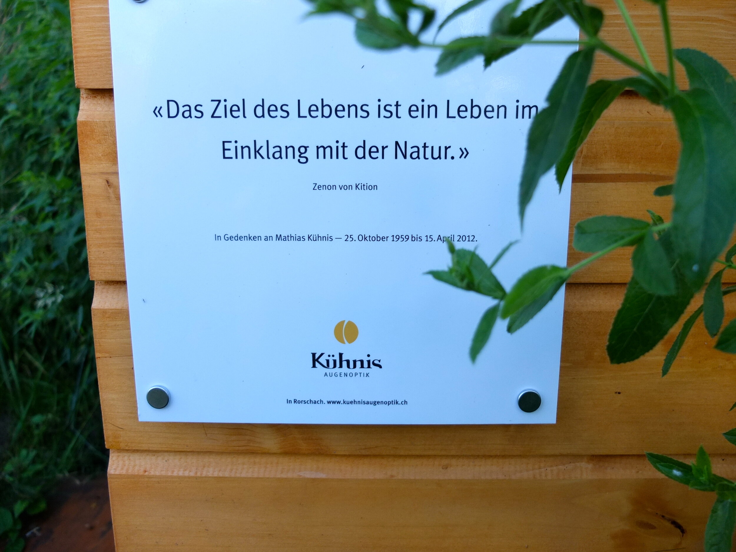 Kuehnis-Augenoptik_Naturschutz-Areal_Rorschach_2.jpg